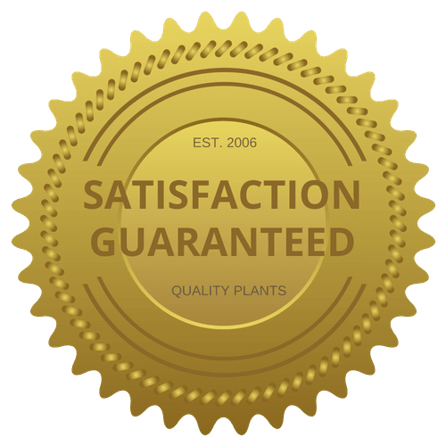 Satisfaction Guaranteed